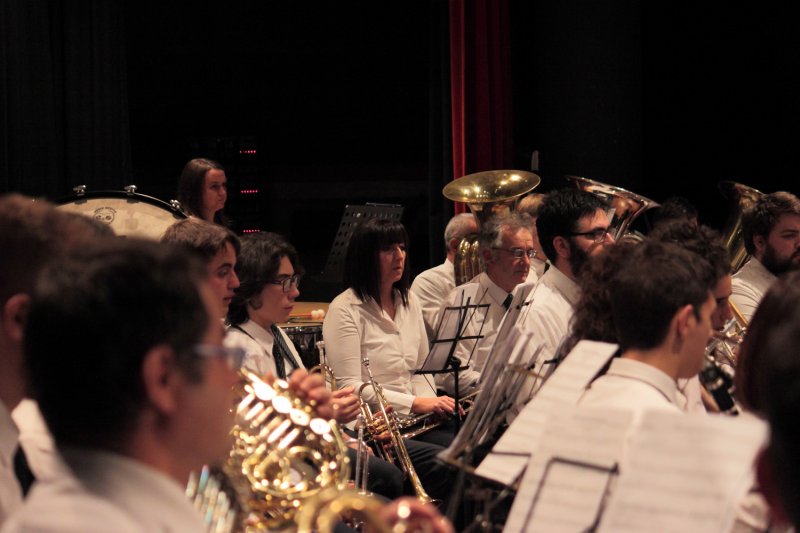 Santa Cecilia 2016 - Concerto (Foto: Paolo Chiarotto)